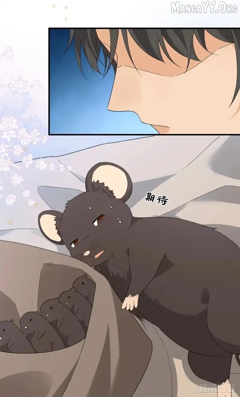 Taming the Beasts With Multi-Pregnancy System Chapter 27 - page 4